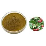 Vitexin-2-O-rhamnoside; Hawthorn leaf extract