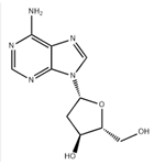 2'-Deoxyadenosine 