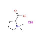 Stachydrine hydrochloride