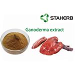 Ganoderma Extract; Reishi Mushroom Extract