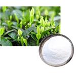 Cianidanol; Green tea extract