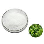 Green Tea Extract; (-)-Epigallocatechin gallate EGCG