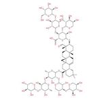 GYNOSTEMMA PLANT EXTRACT；GYPENOSIDES 