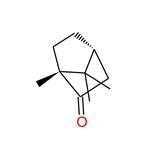 D-CAMPHOR; Camphor tree extract