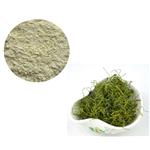 GYNOSTEMMA PLANT EXTRACT；GYPENOSIDES 