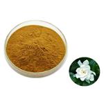 Jasmine powder; Jasmine extract