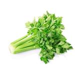 Celery powder