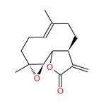 Parthenolide; Tanacetum parthenium