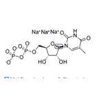 2'-Deoxythymidine-5'-diphosphate trisodium salt