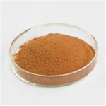 Rhodiola Rosea Extract