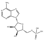 Adenosine 5'-monophosphate