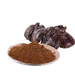 Reishi mushroom extract