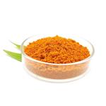 Sea buckthorn, Hippophae rhamnoides, ext.