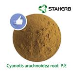 Cyanotis arachnoidea root  P.E