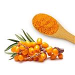 Sea buckthorn, Hippophae rhamnoides, ext.