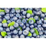 Pterostilbene；Blueberry extract