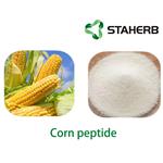 Corn peptide