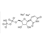 URIDINE 5'-DIPHOSPHORIC ACID SODIUM SALT