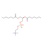 L-ALPHA-PHOSPHATIDYLCHOLINE, DISTEAROYL