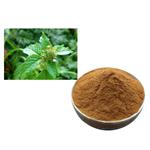 CLINODISIDE A;calamint extract