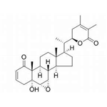 Ashwagandha Extract