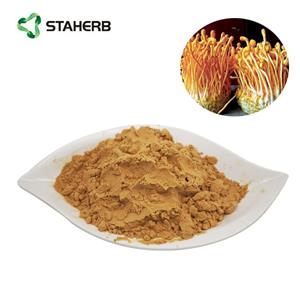 Cordyceps militaris extract