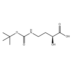 Butanoic acid, 4-[[(1,1-dimethylethoxy)carbonyl]amino]-2-hydroxy-, (2S)- (9CI)