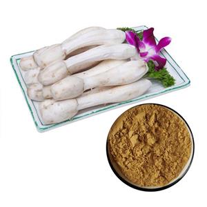 Coprinus Comatus Extract