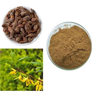 Forsythia powder