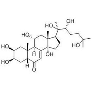 turkesterone