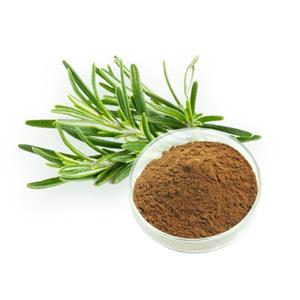 ROSEMARY EXTRACT