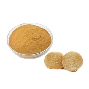 HERICIUM ERINACEUS POWDER