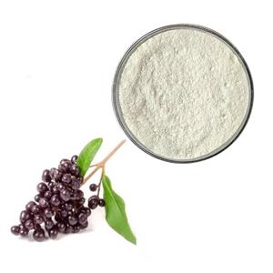 Oleanic acid; Ligustrum lucidum Ext