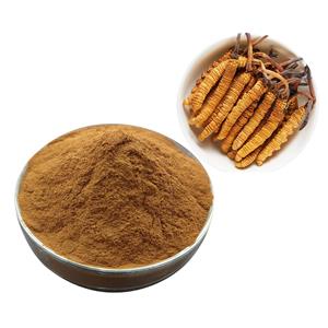FERMENTAL CORDYCEPS SINENSIS POWDER (Cs-4)