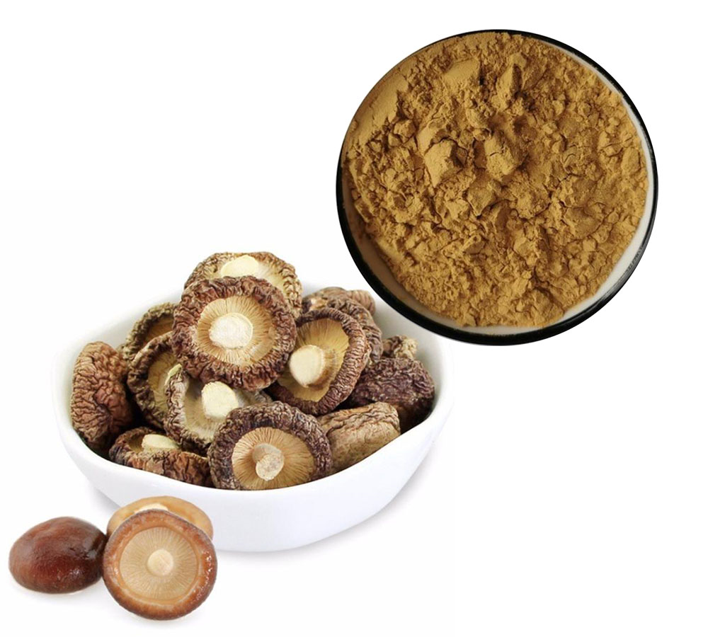 shiitake mushroom extract