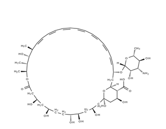 Amphotericin B