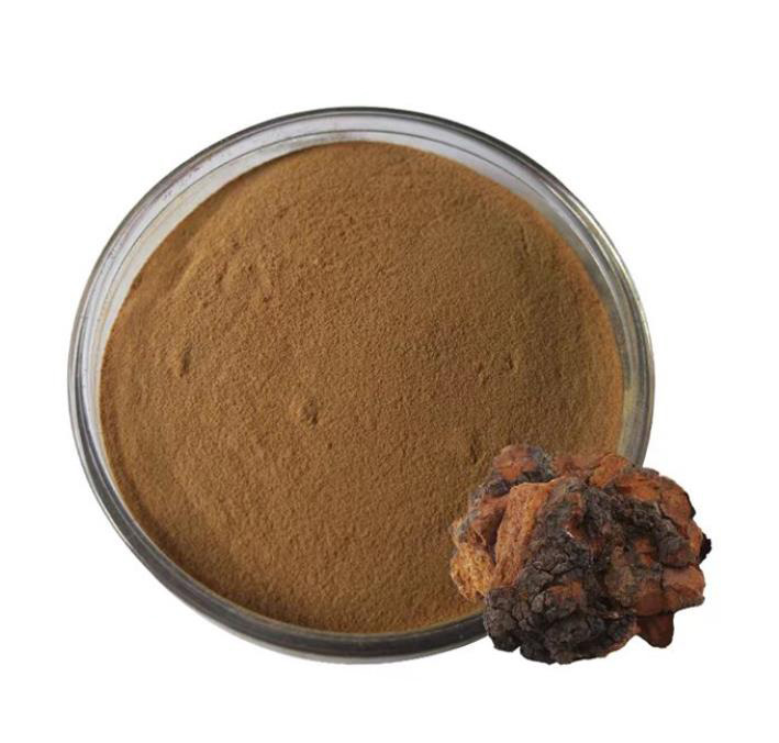 Chaga extract