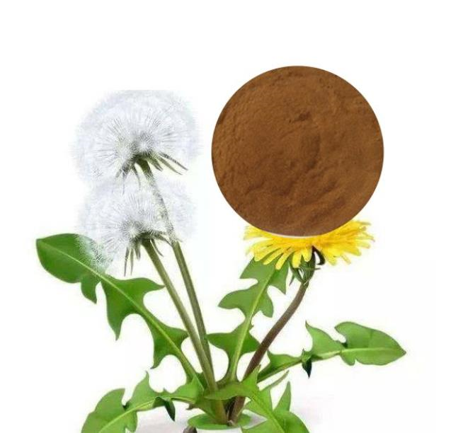 DANDELION POWDER