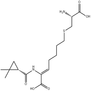 Cilastatin