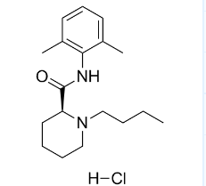 Levobupivacaine HCl