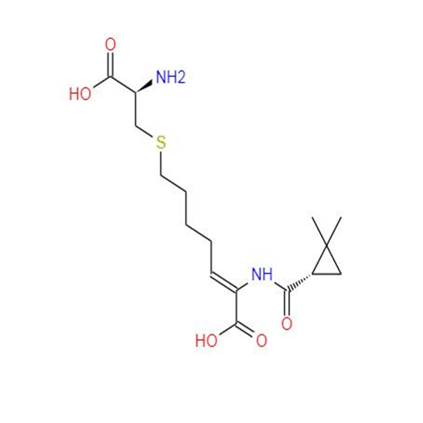 Cilastatin