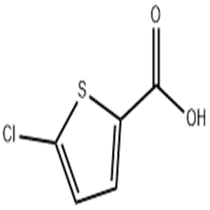 5-chlorothiophene-2-carboxylic ACID