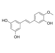 Rhapontigenin 