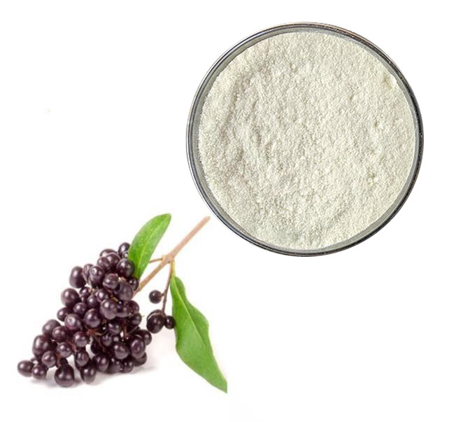 Oleanic acid; Ligustrum lucidum Ext