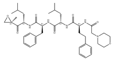 Carfilzomib