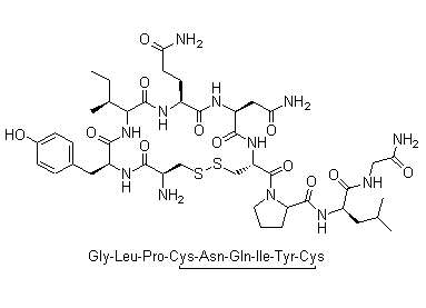 Oxytocin