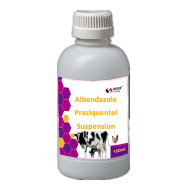 Albendazole Praziquantel Suspension