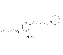 Pramoxine hydrochloride