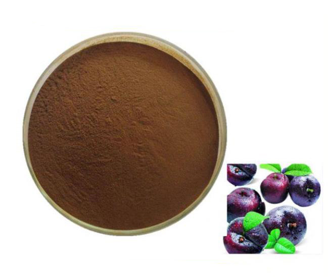 Black plum extract