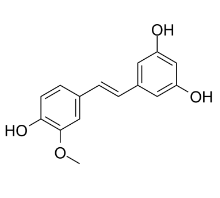 Isorhapontigenin